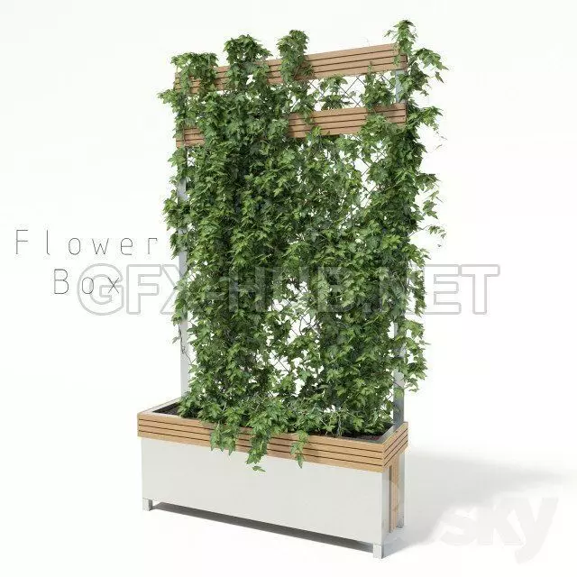 Trees box 3D model | CGTrader