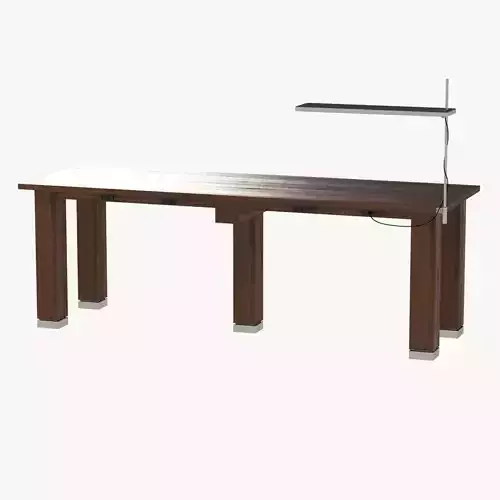 Modern wood Table with lamp