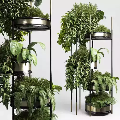 collection Indoor plant plant stairs stand metal vase 10