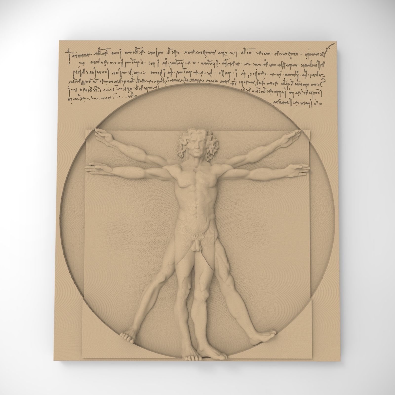 Vitruvian man 3D print model_1