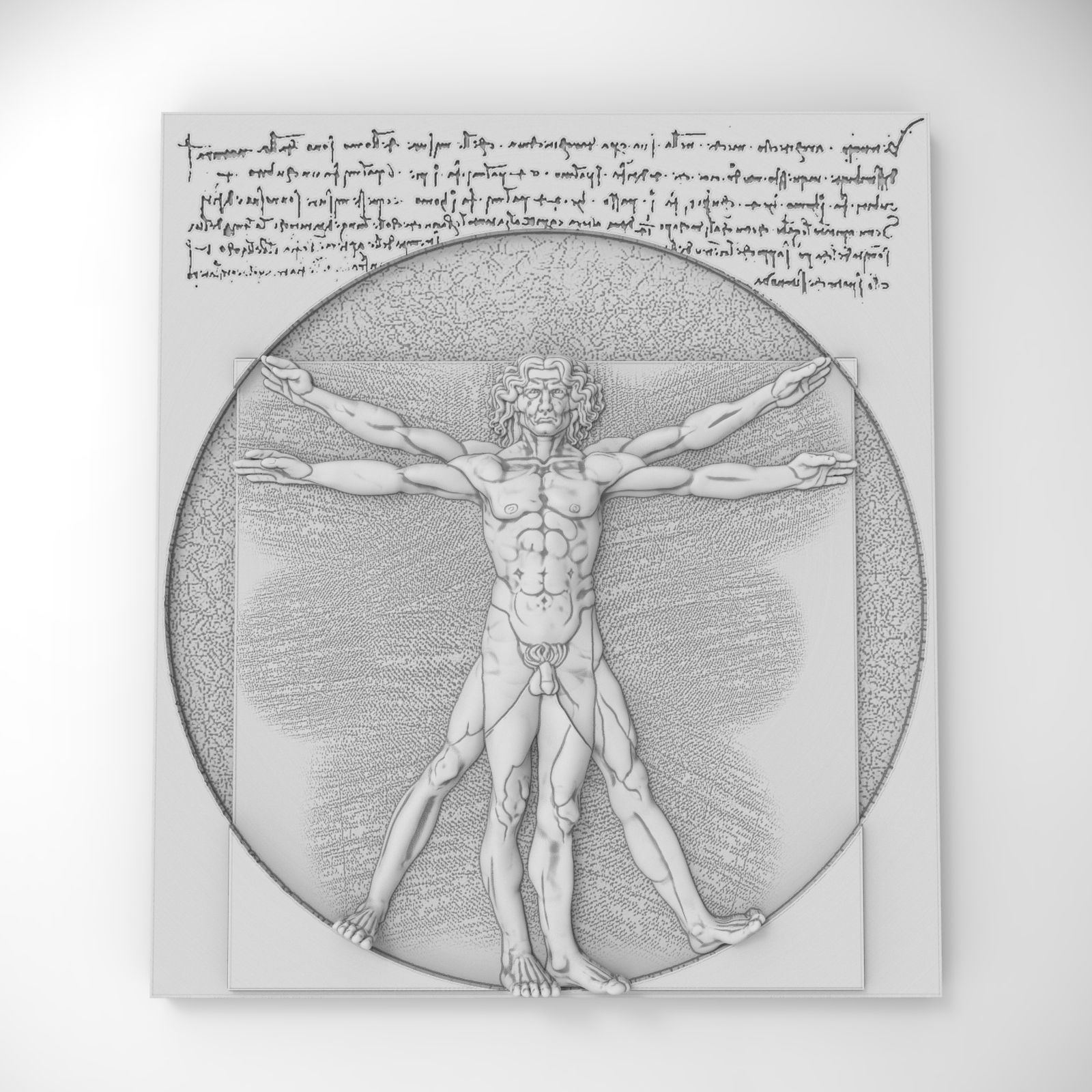 Vitruvian man 3D print model_2