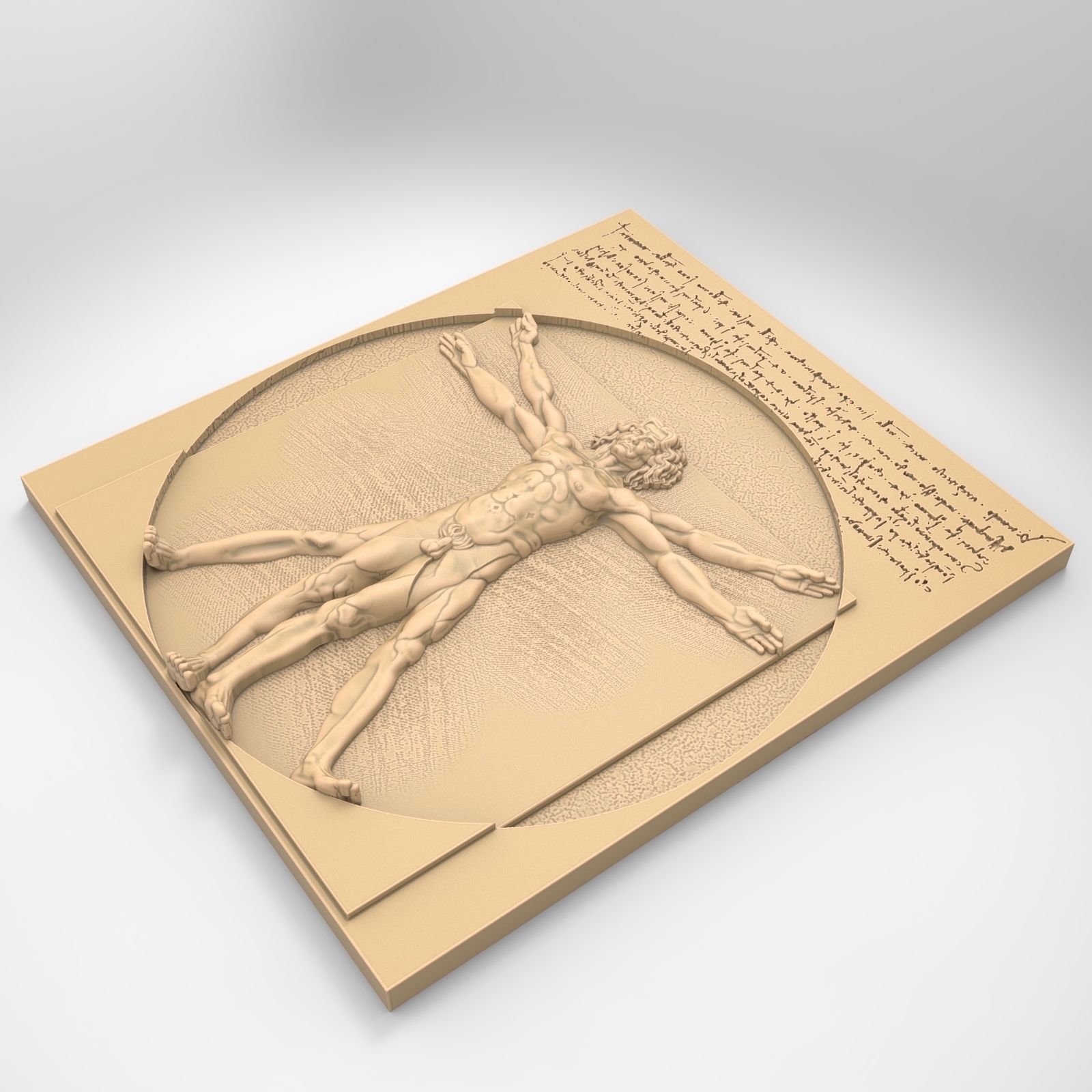 Vitruvian man 3D print model_5