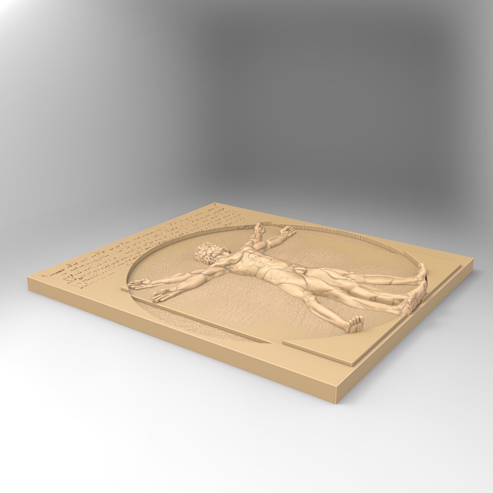 Vitruvian man 3D print model_4