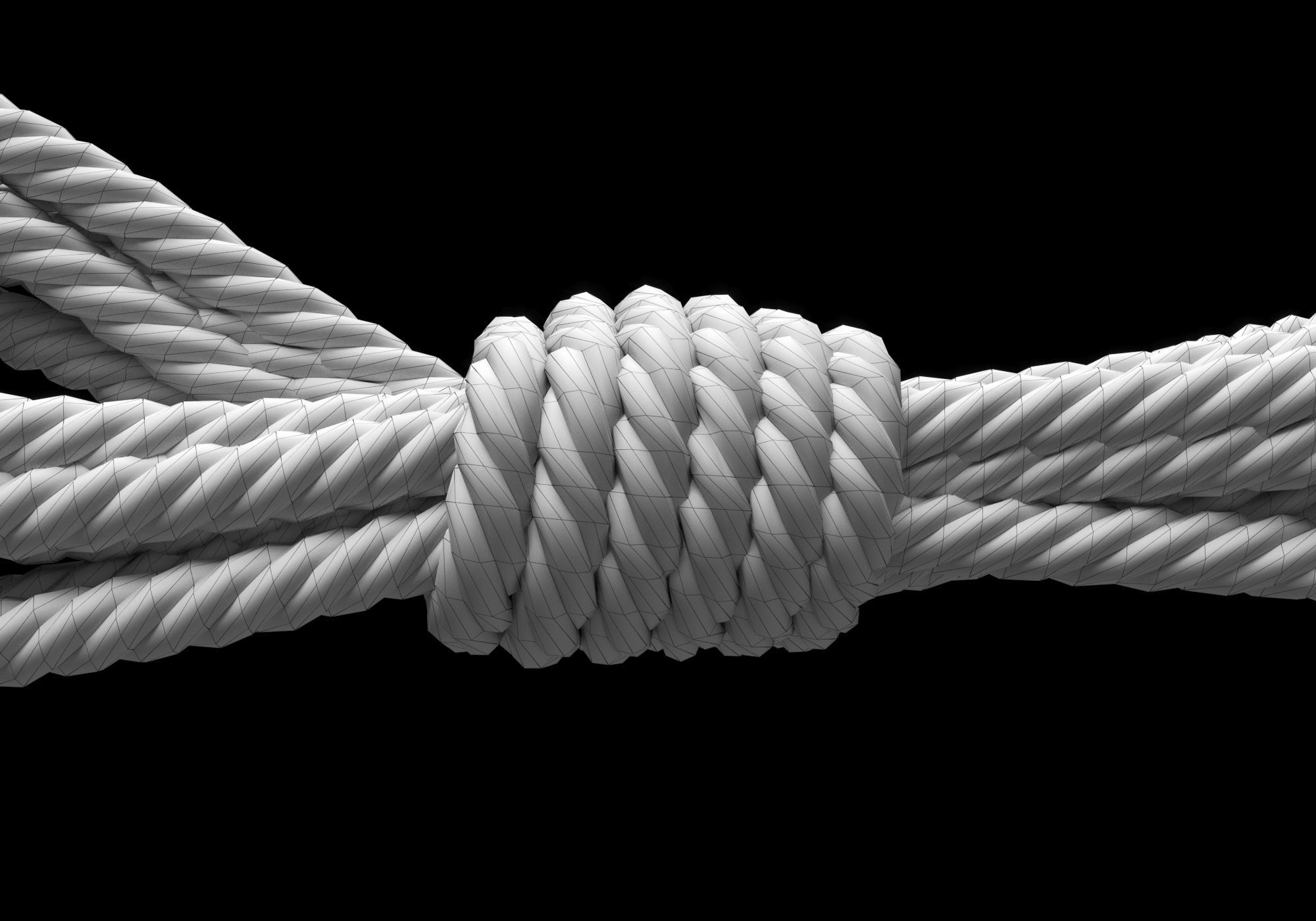 Ropes pack 3D Model Collection_17
