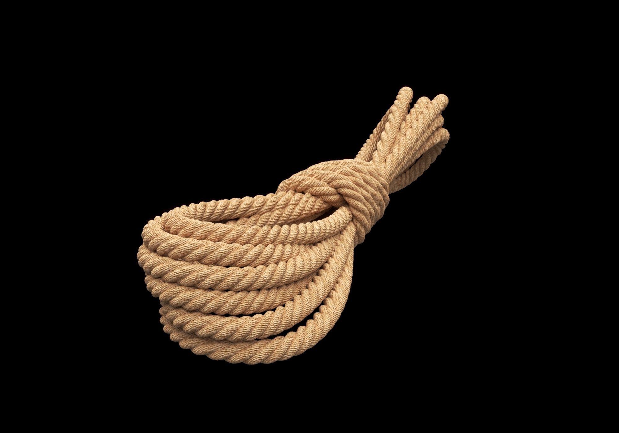 Ropes pack 3D Model Collection_9