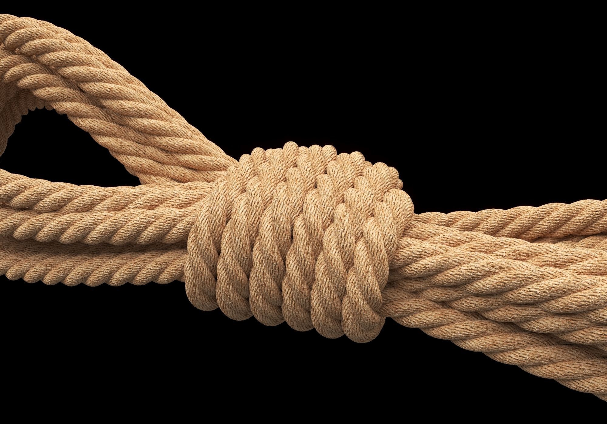 Ropes pack 3D Model Collection_12