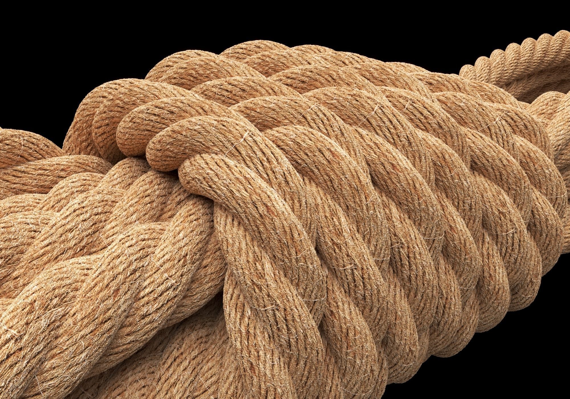 Ropes pack 3D Model Collection_6
