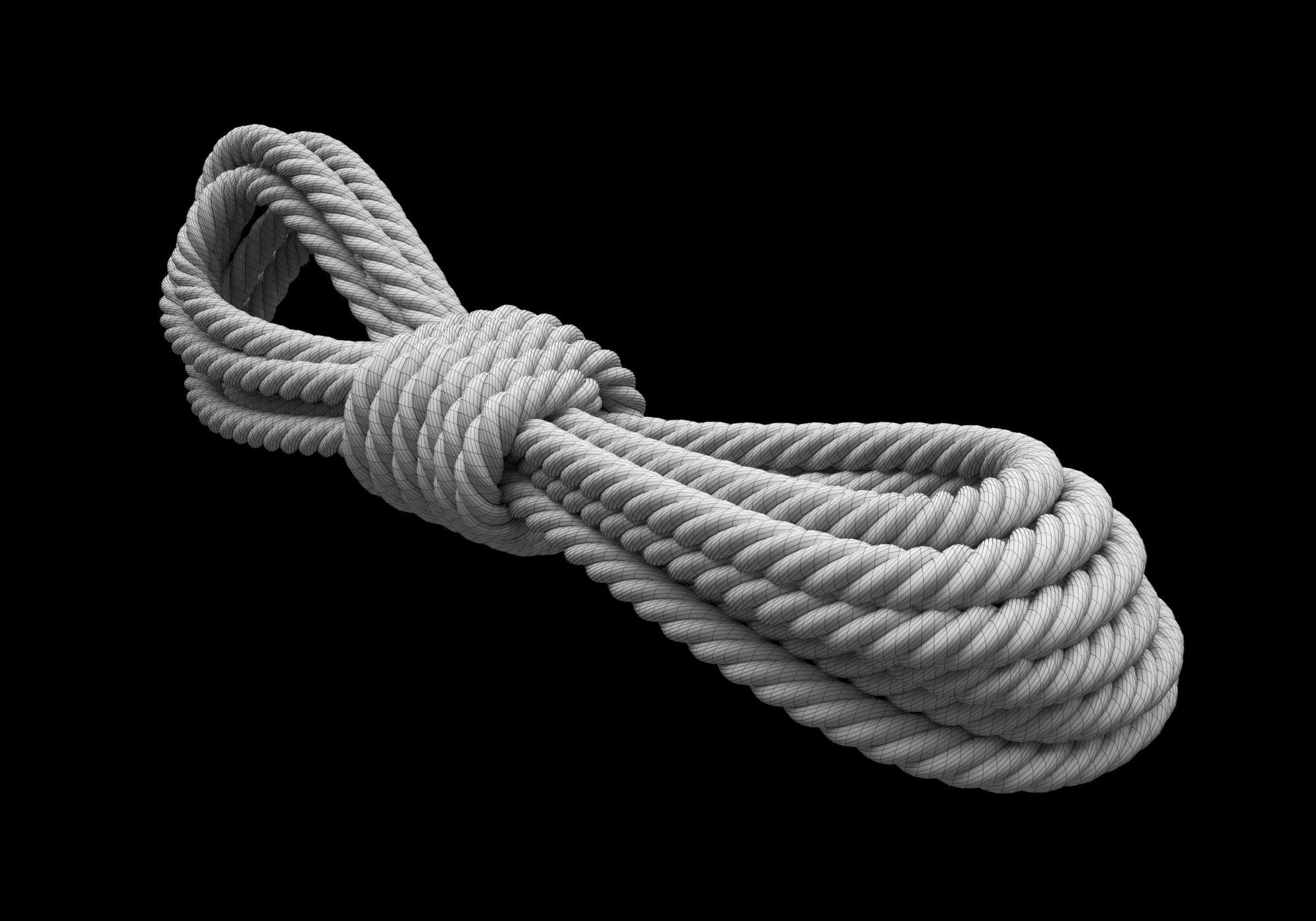 Ropes pack 3D Model Collection_20