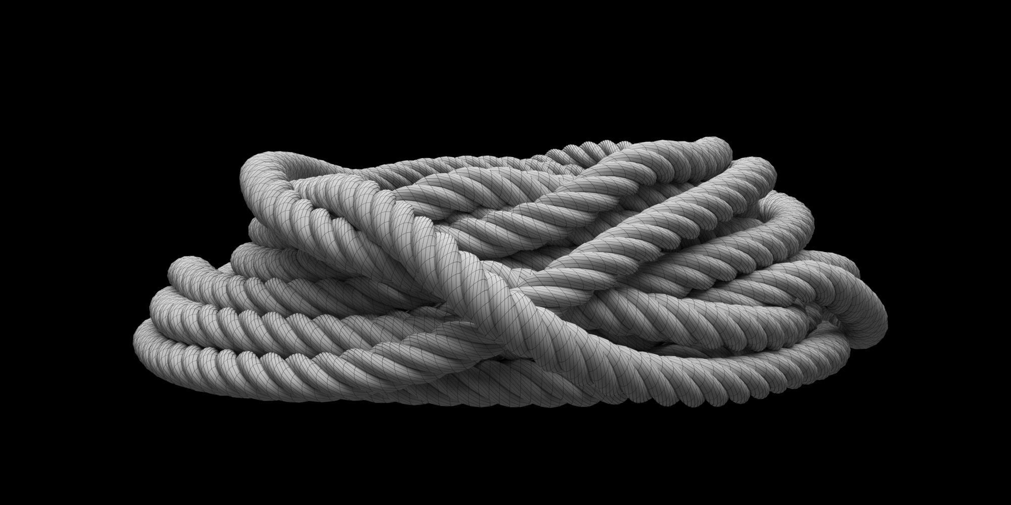Ropes pack 3D Model Collection_44
