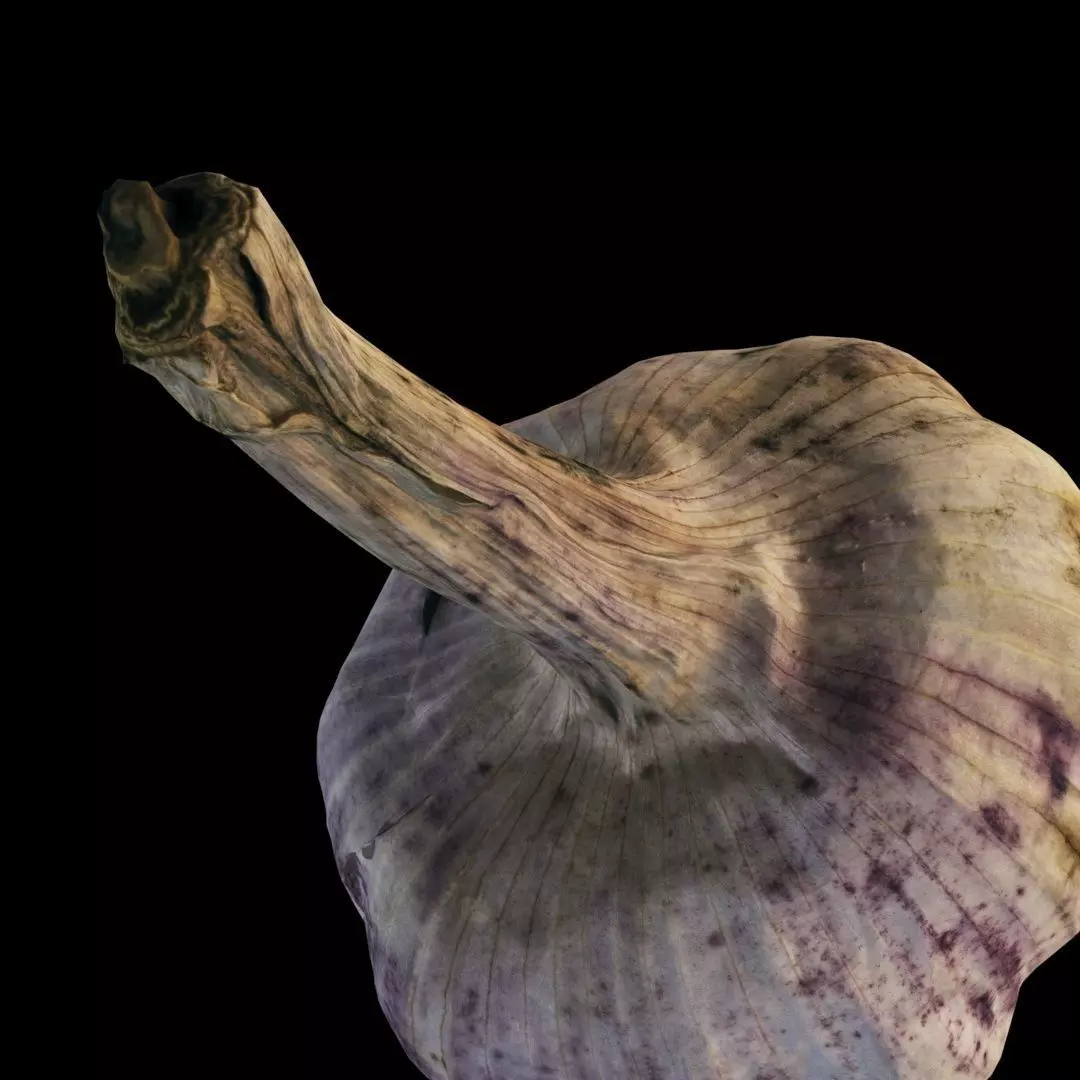 4k Garlic 3D model