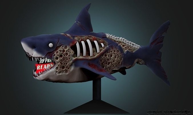 zombie shark 3D print model