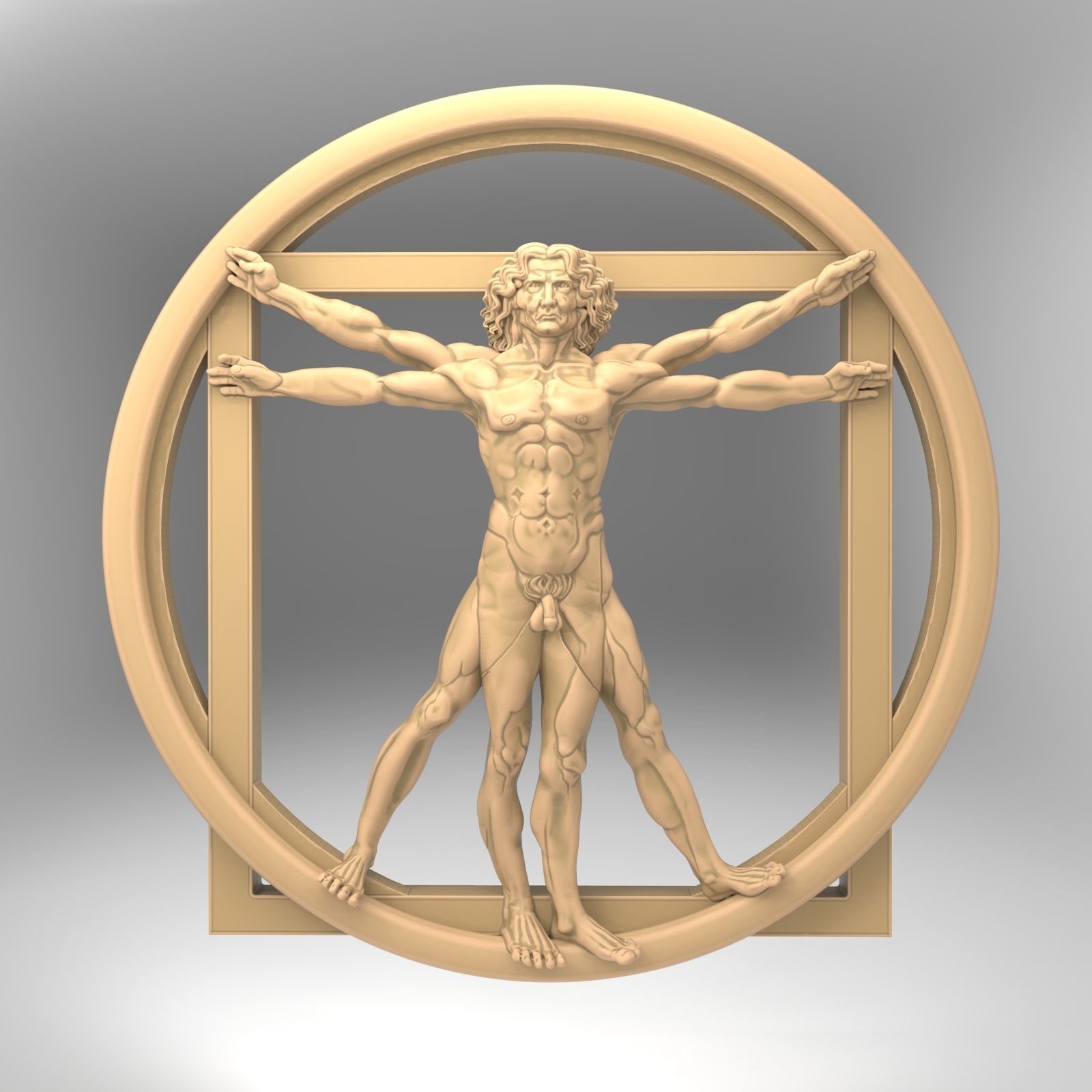 Vitruvian man 3D print model_2