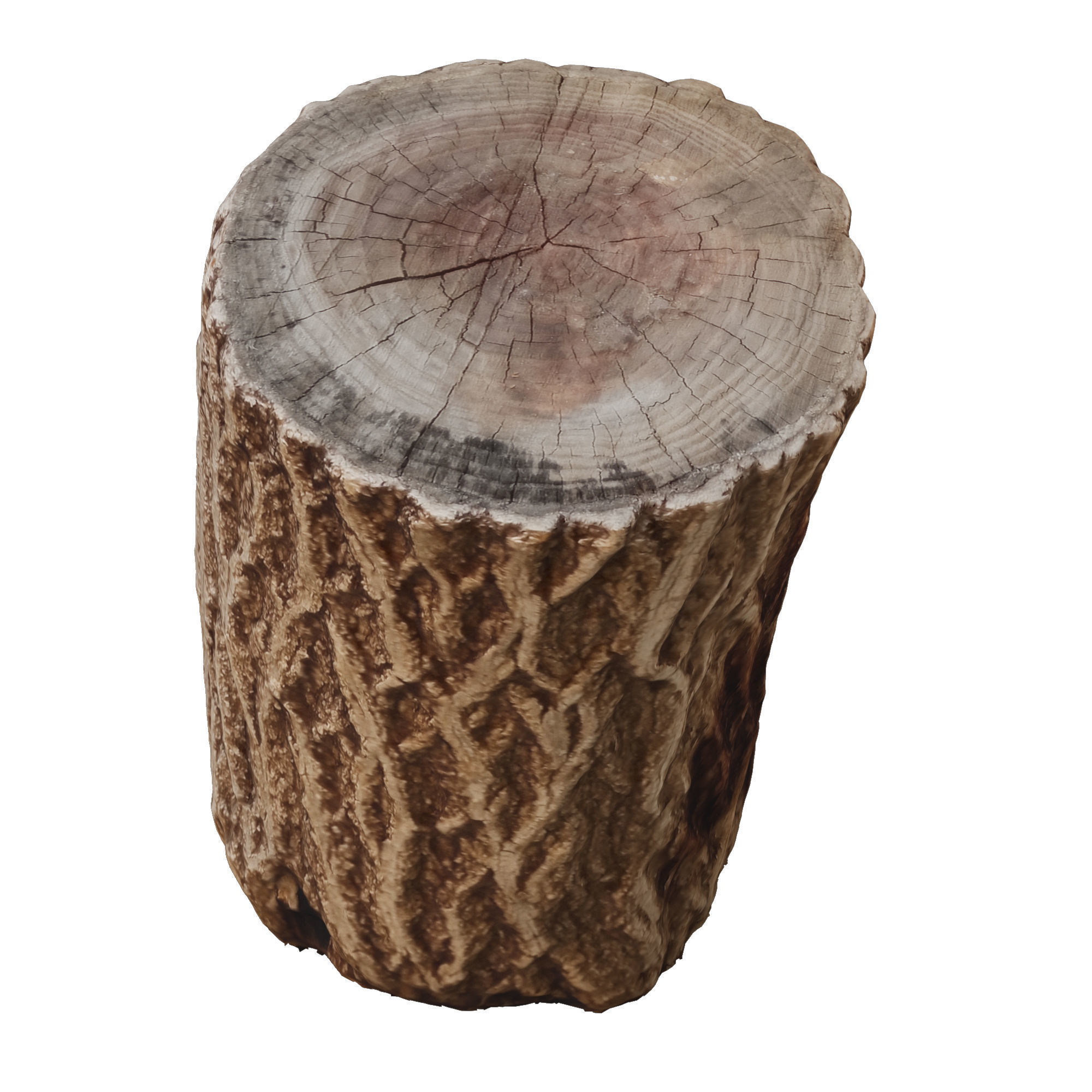 tree trunk 7 3D model_3