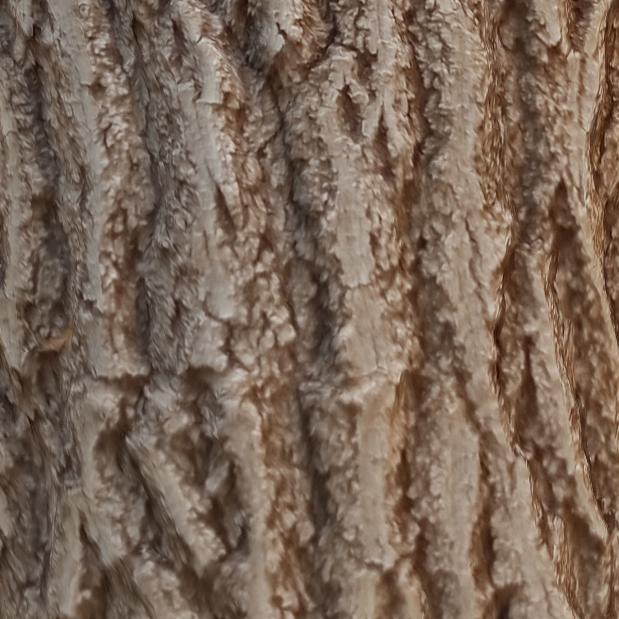 tree trunk 7 3D model_5