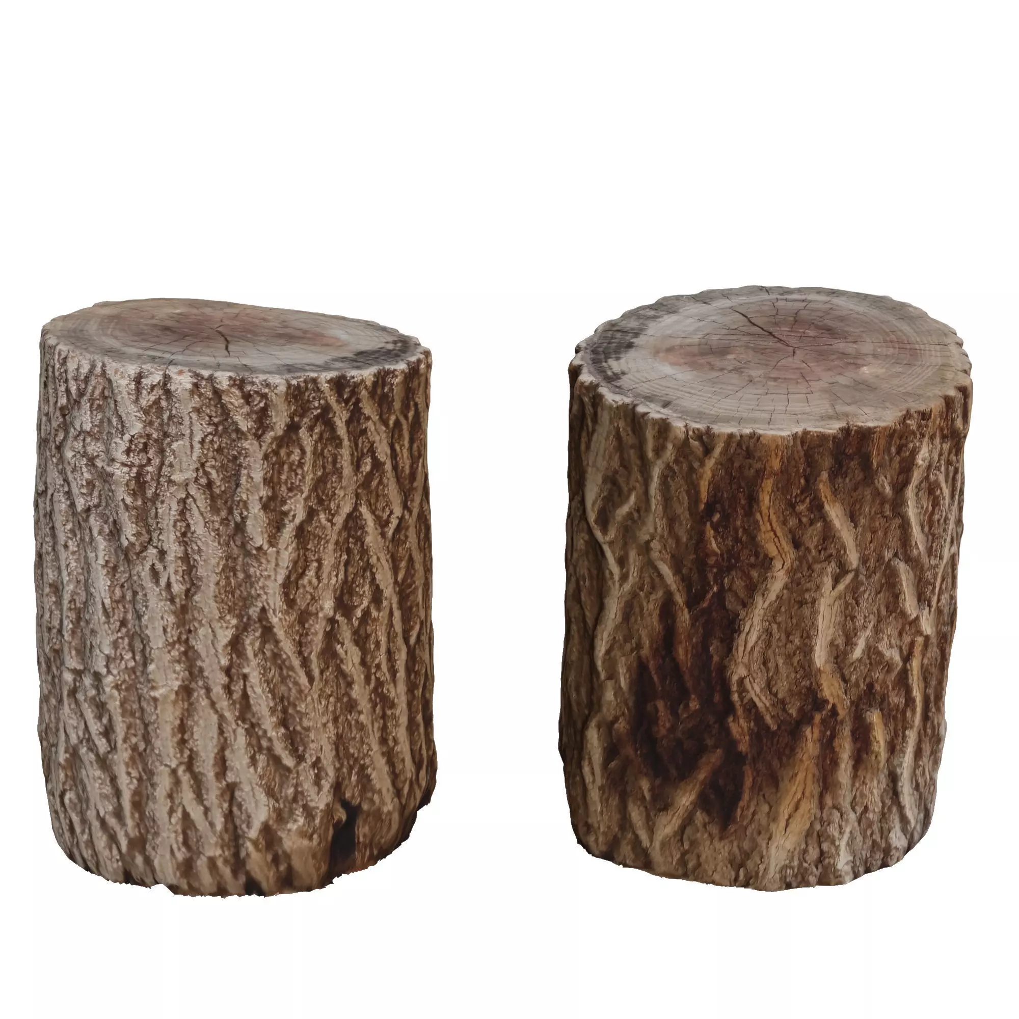 tree trunk 7 3D model_0