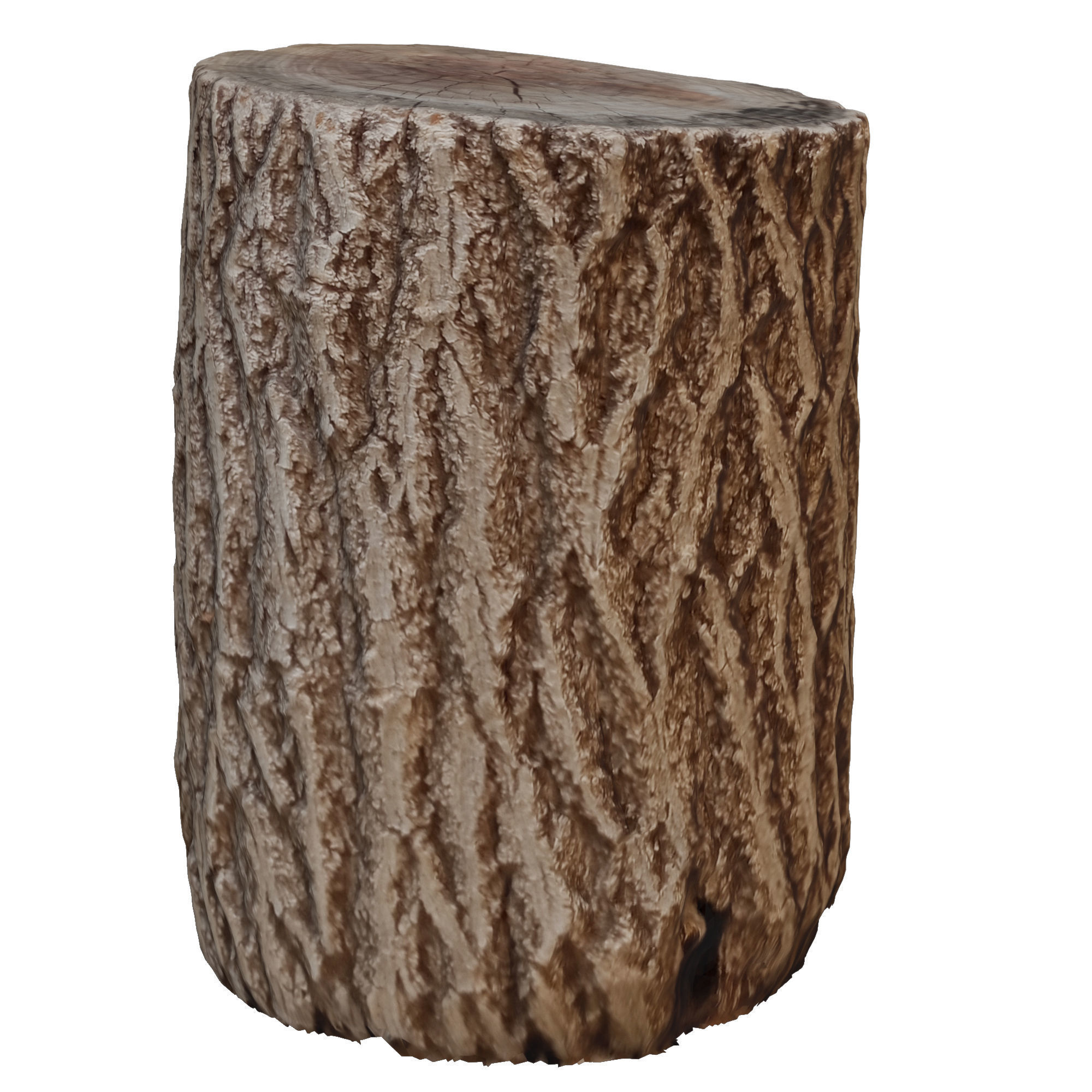 tree trunk 7 3D model_2