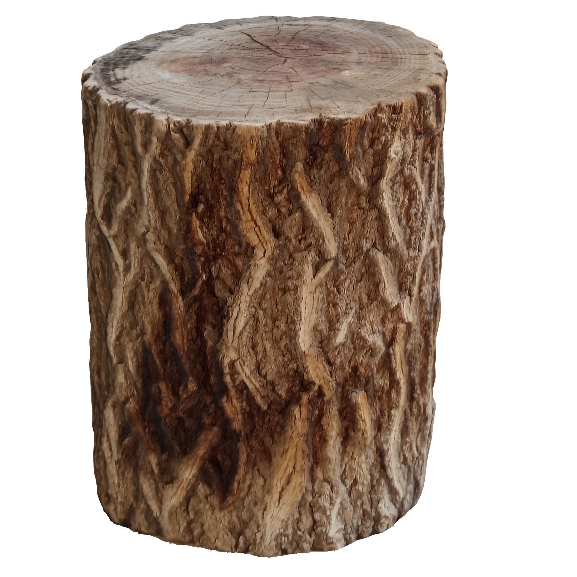 tree trunk 7 3D model_1
