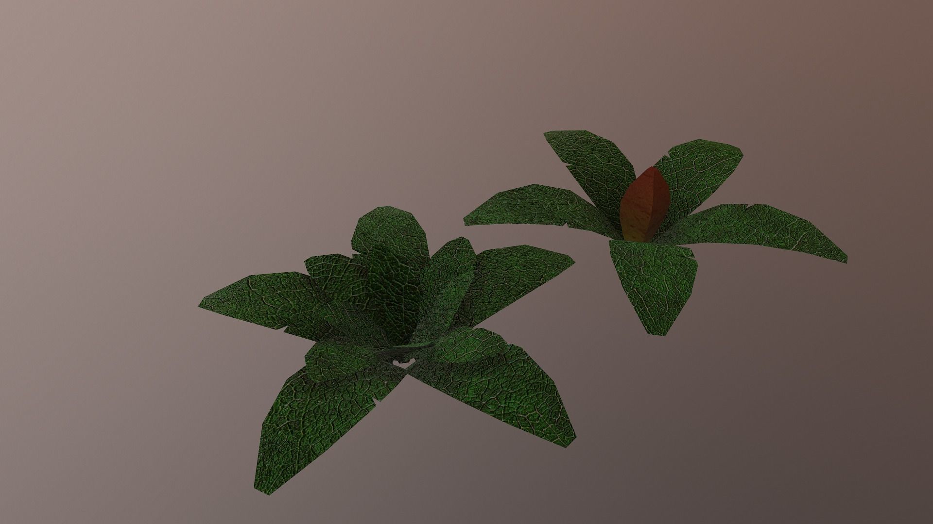  Low Poly Tropical Plant Low-poly 3D model_8