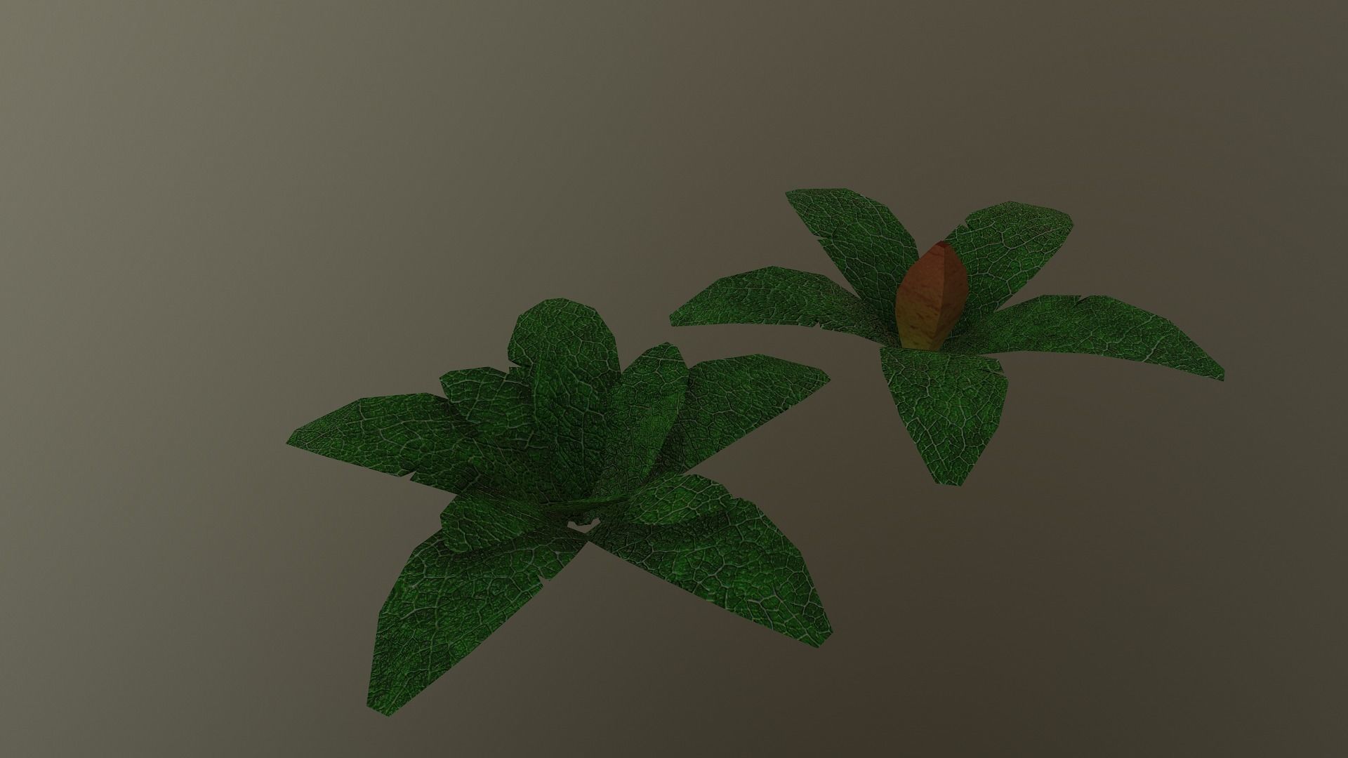  Low Poly Tropical Plant Low-poly 3D model_23