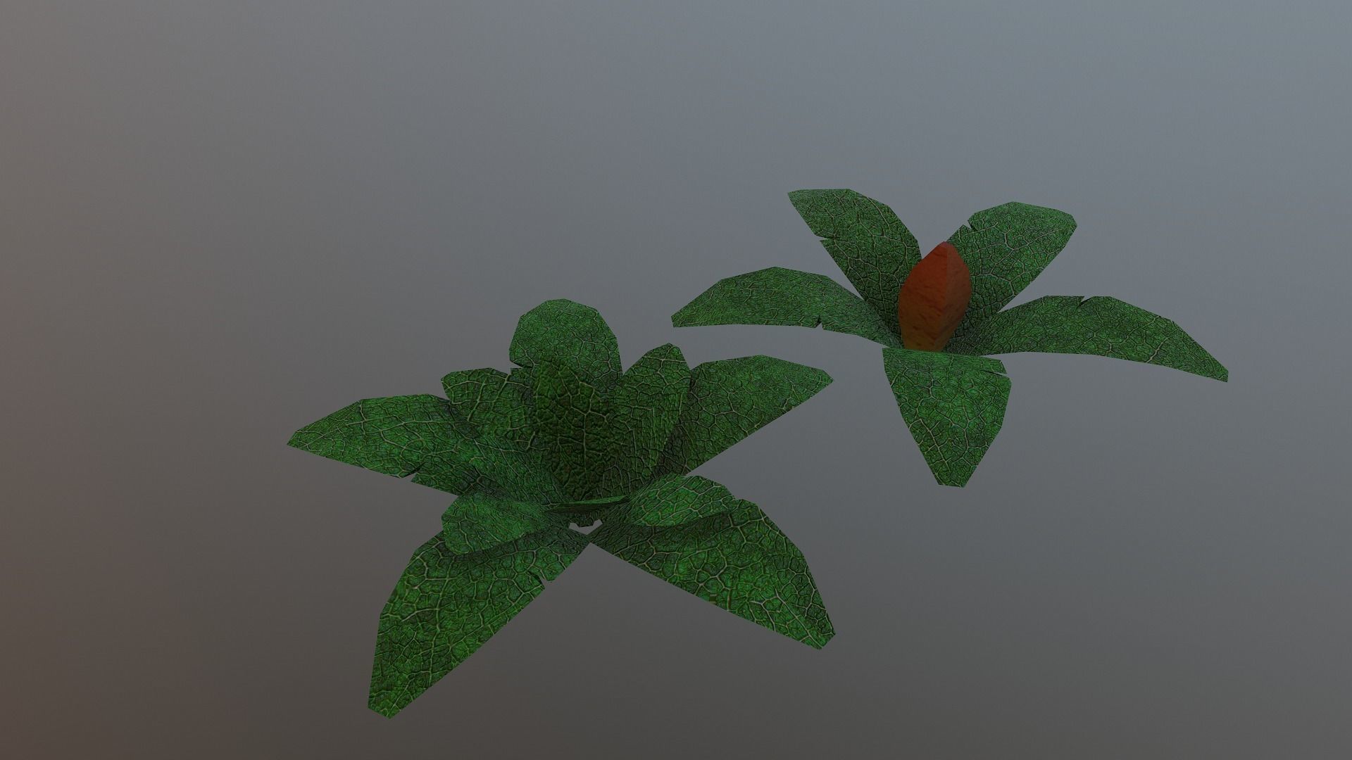  Low Poly Tropical Plant Low-poly 3D model_24