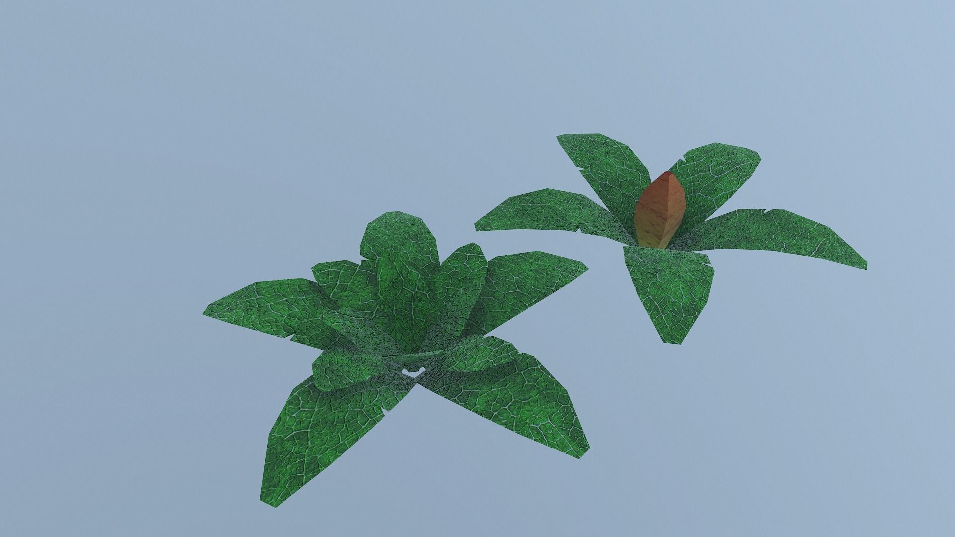  Low Poly Tropical Plant Low-poly 3D model_7