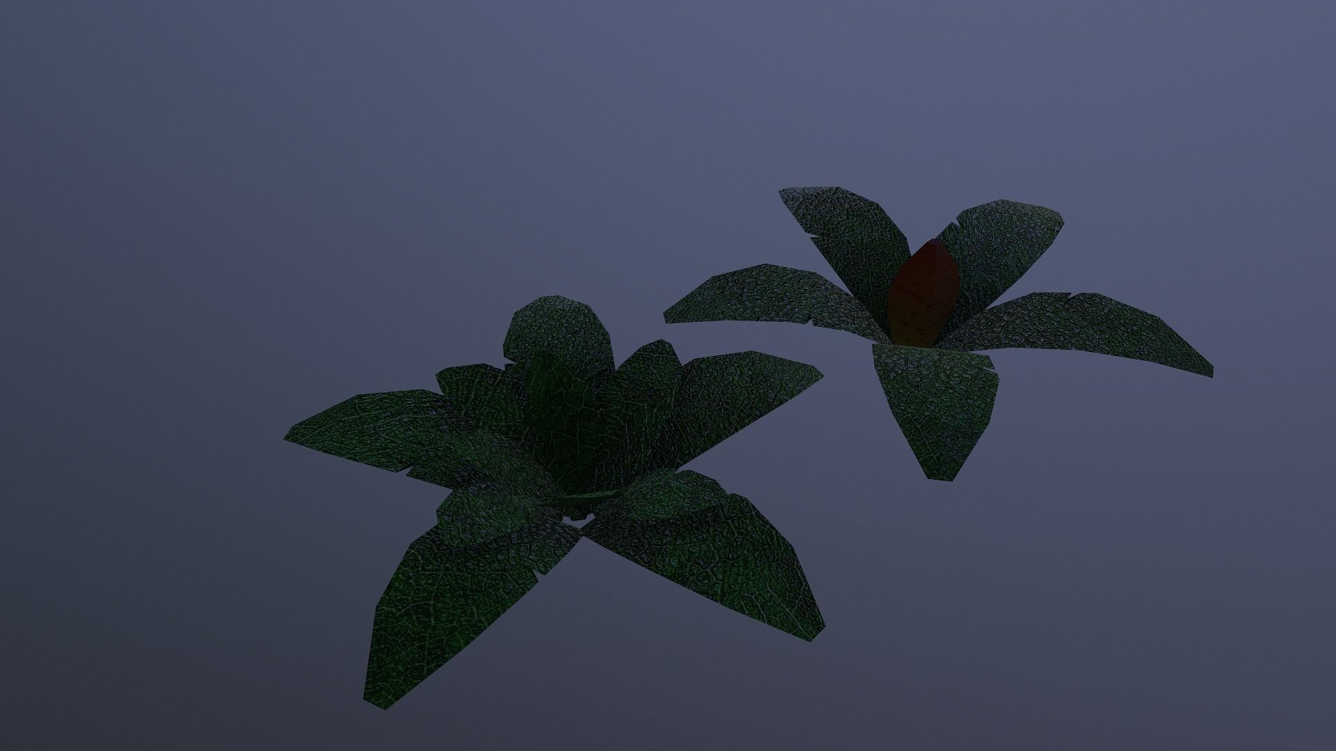  Low Poly Tropical Plant Low-poly 3D model_6