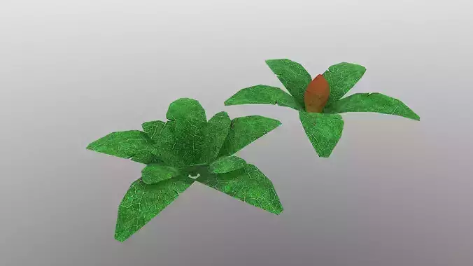  Low Poly Tropical Plant