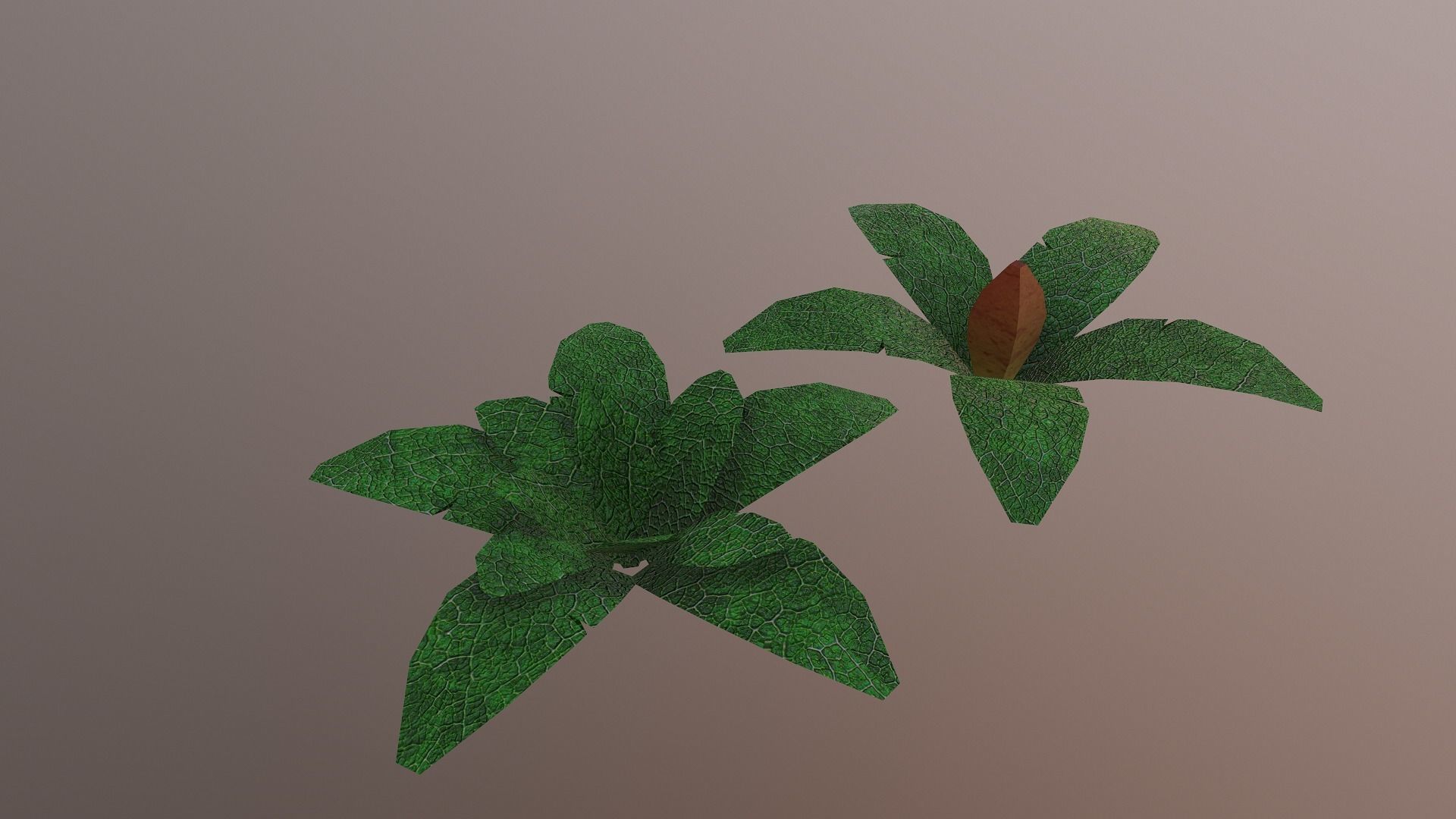  Low Poly Tropical Plant Low-poly 3D model_9