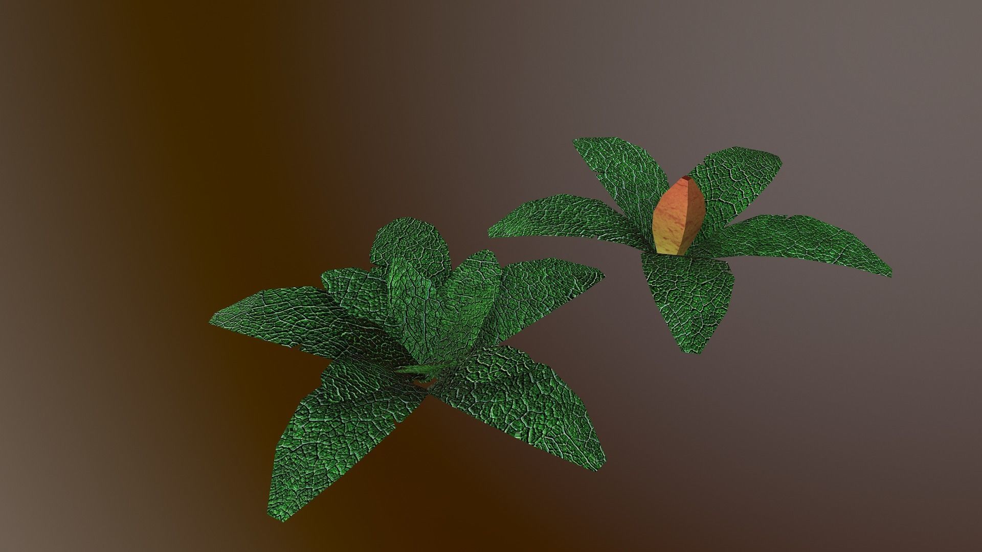  Low Poly Tropical Plant Low-poly 3D model_11