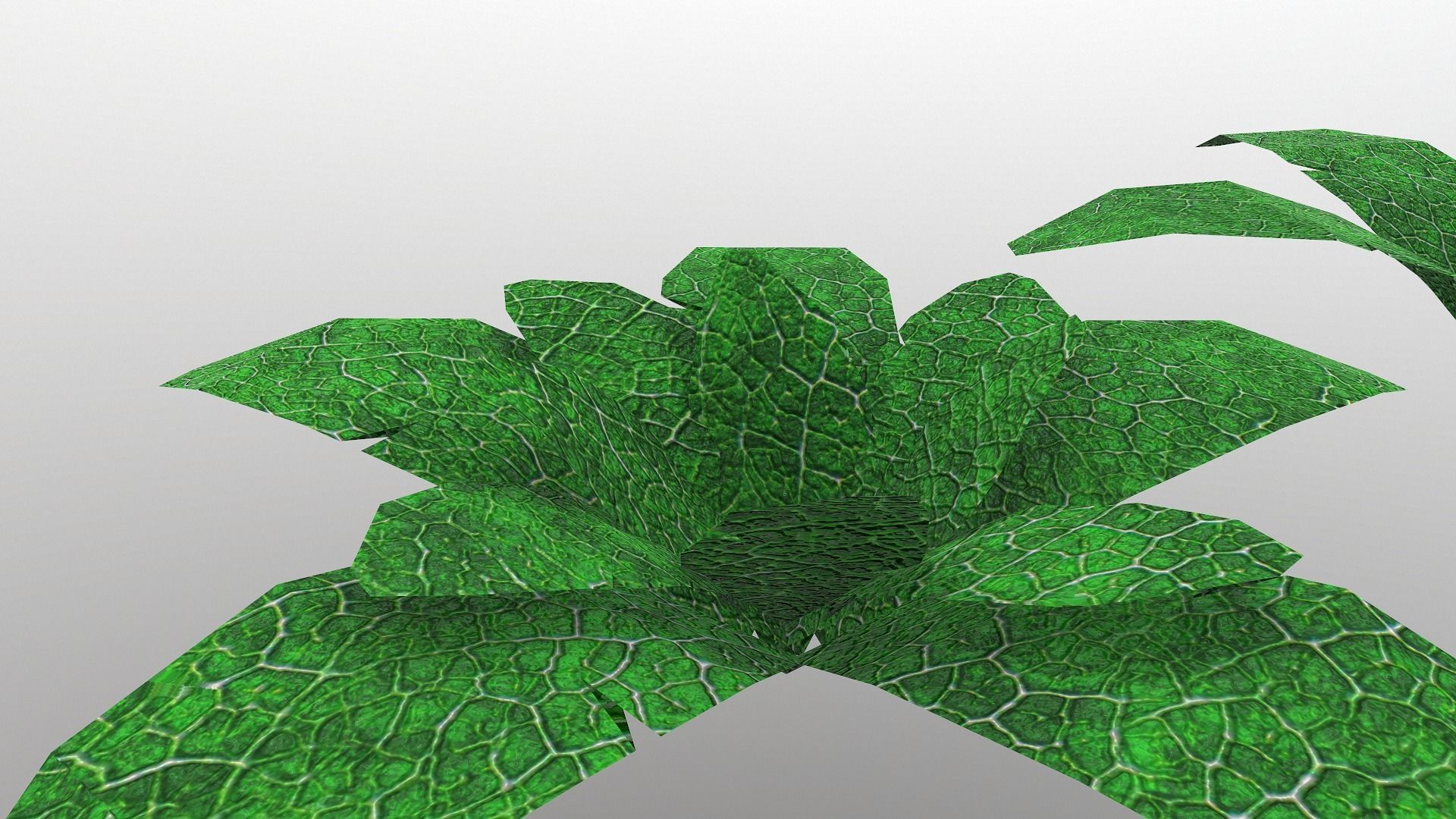  Low Poly Tropical Plant Low-poly 3D model_4
