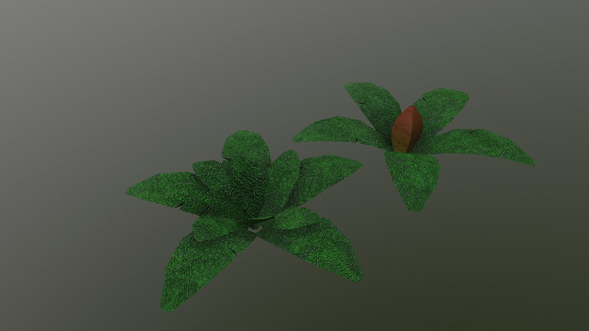  Low Poly Tropical Plant Low-poly 3D model_20