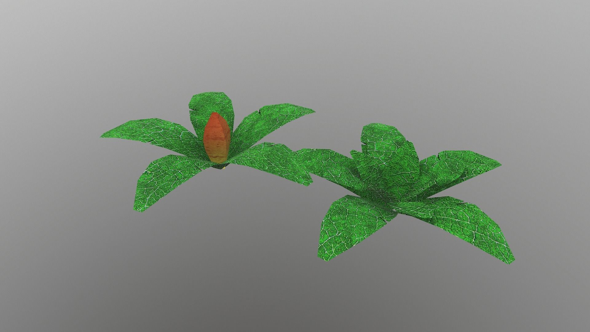  Low Poly Tropical Plant Low-poly 3D model_2