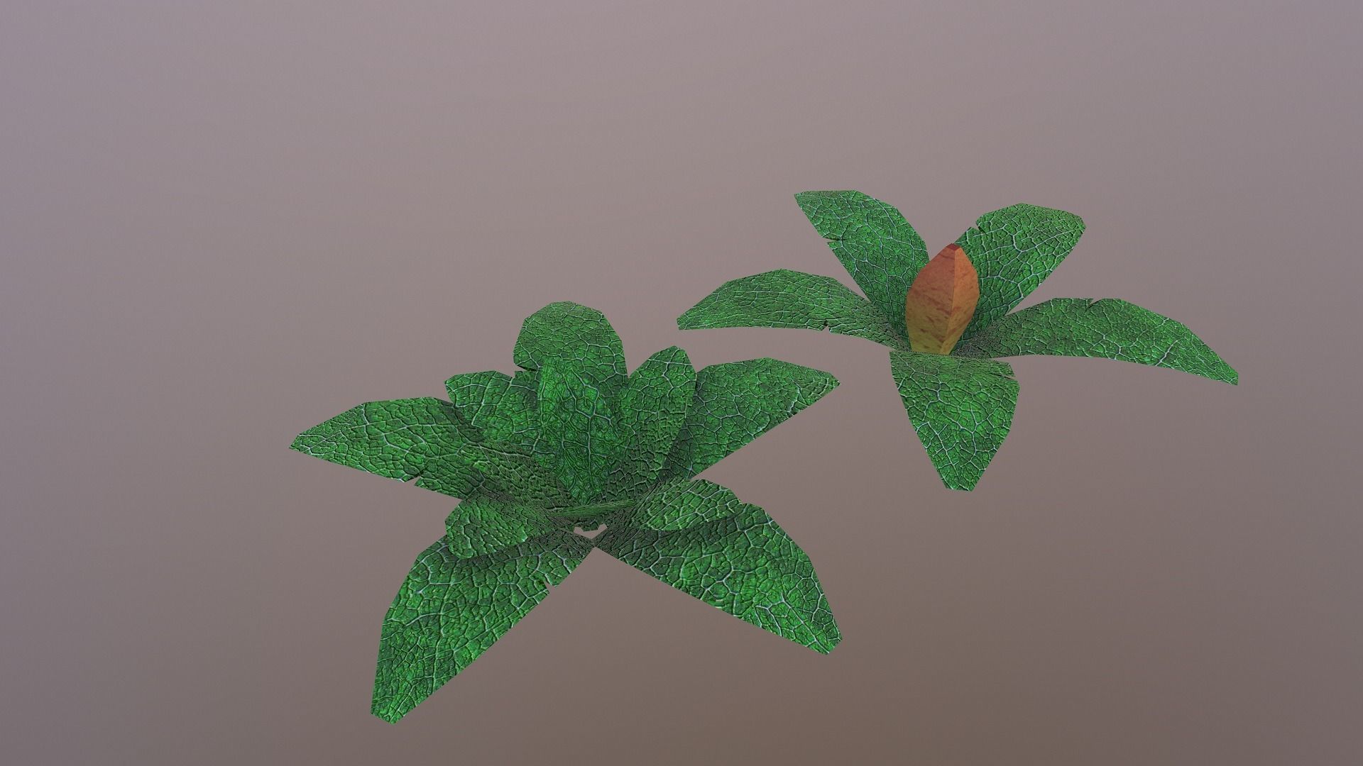  Low Poly Tropical Plant Low-poly 3D model_10