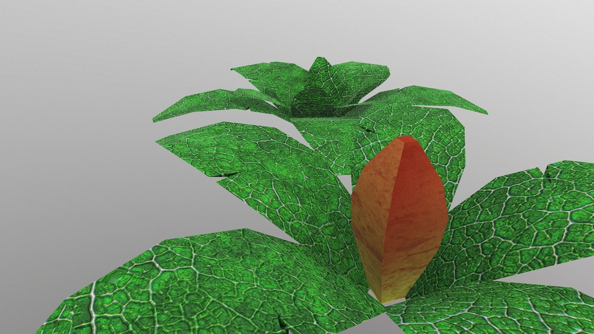  Low Poly Tropical Plant Low-poly 3D model_3