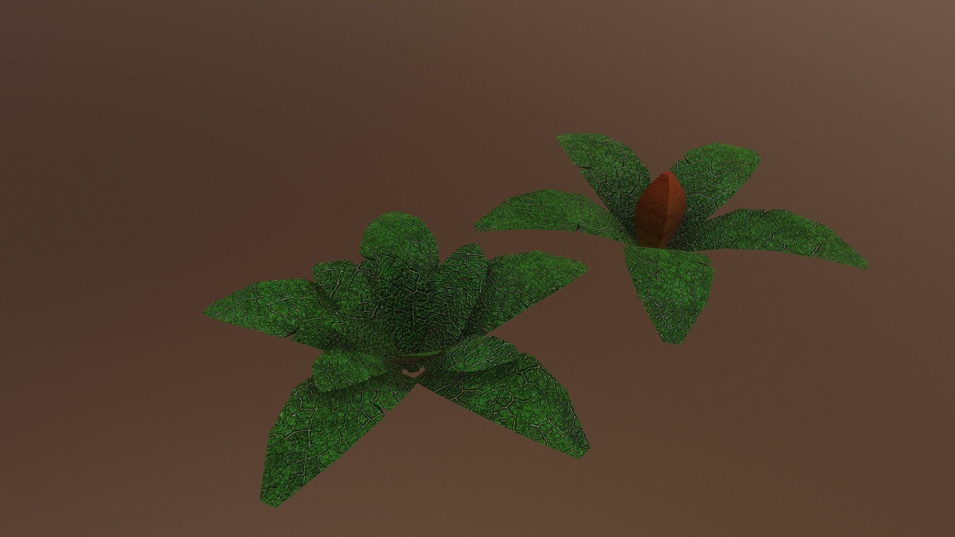  Low Poly Tropical Plant Low-poly 3D model_15