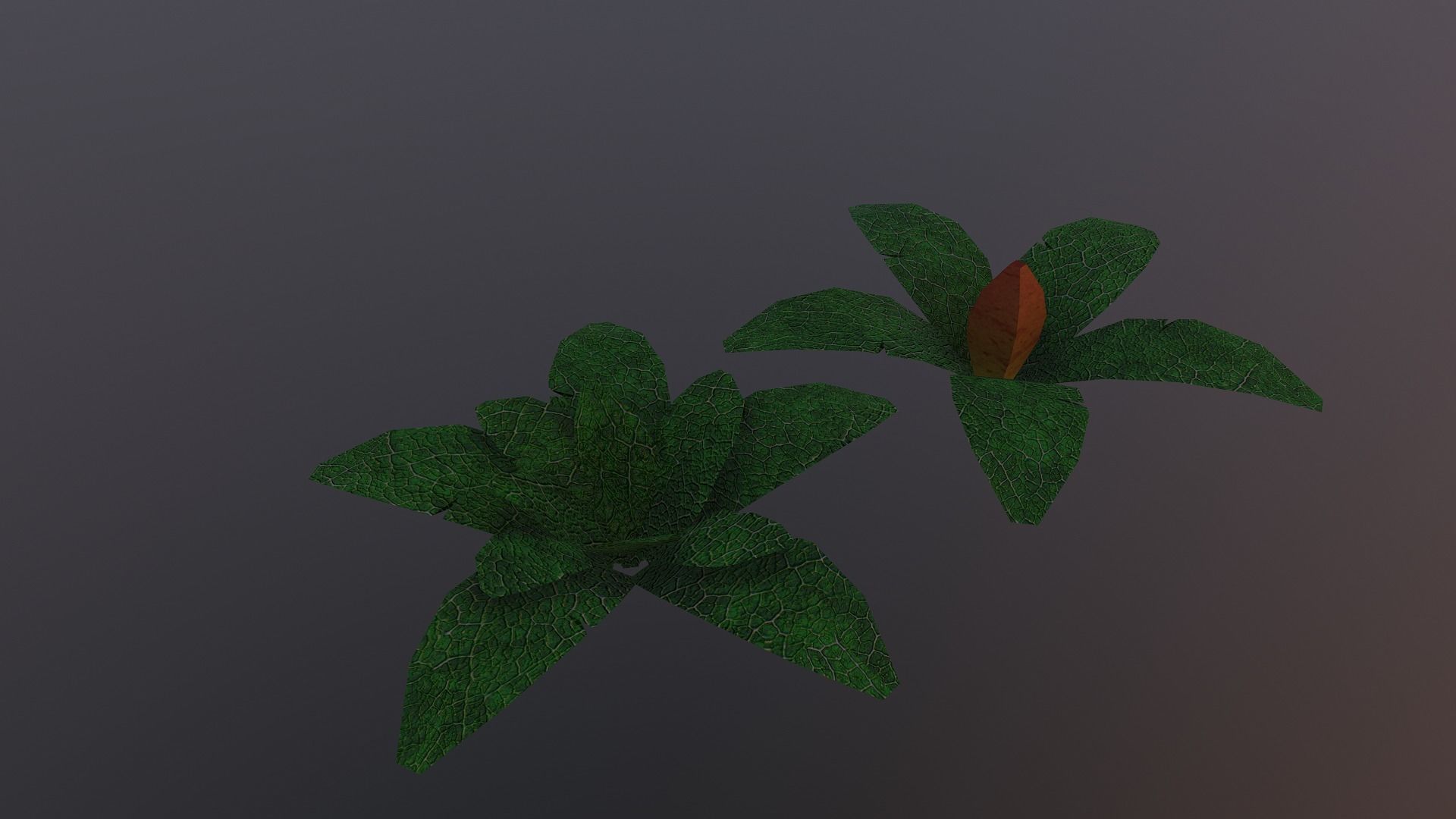  Low Poly Tropical Plant Low-poly 3D model_16