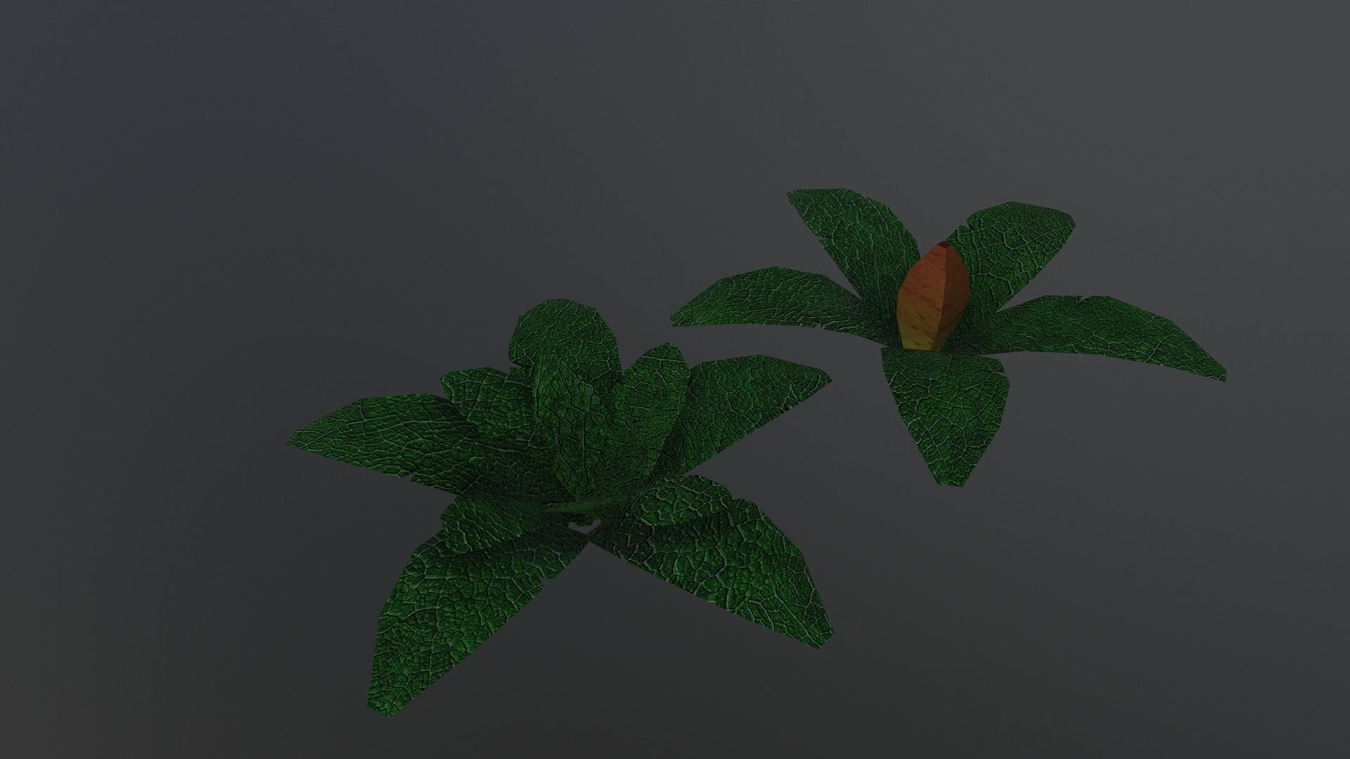  Low Poly Tropical Plant Low-poly 3D model_12