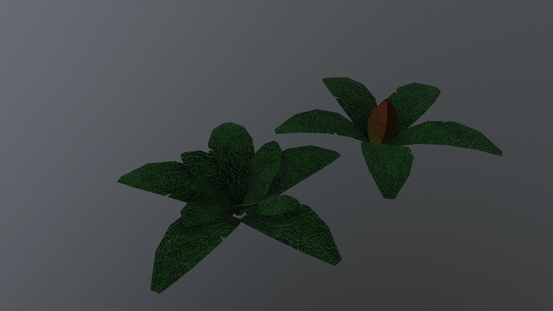  Low Poly Tropical Plant Low-poly 3D model_21