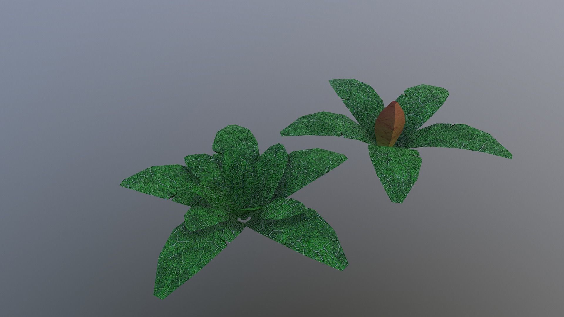  Low Poly Tropical Plant Low-poly 3D model_19