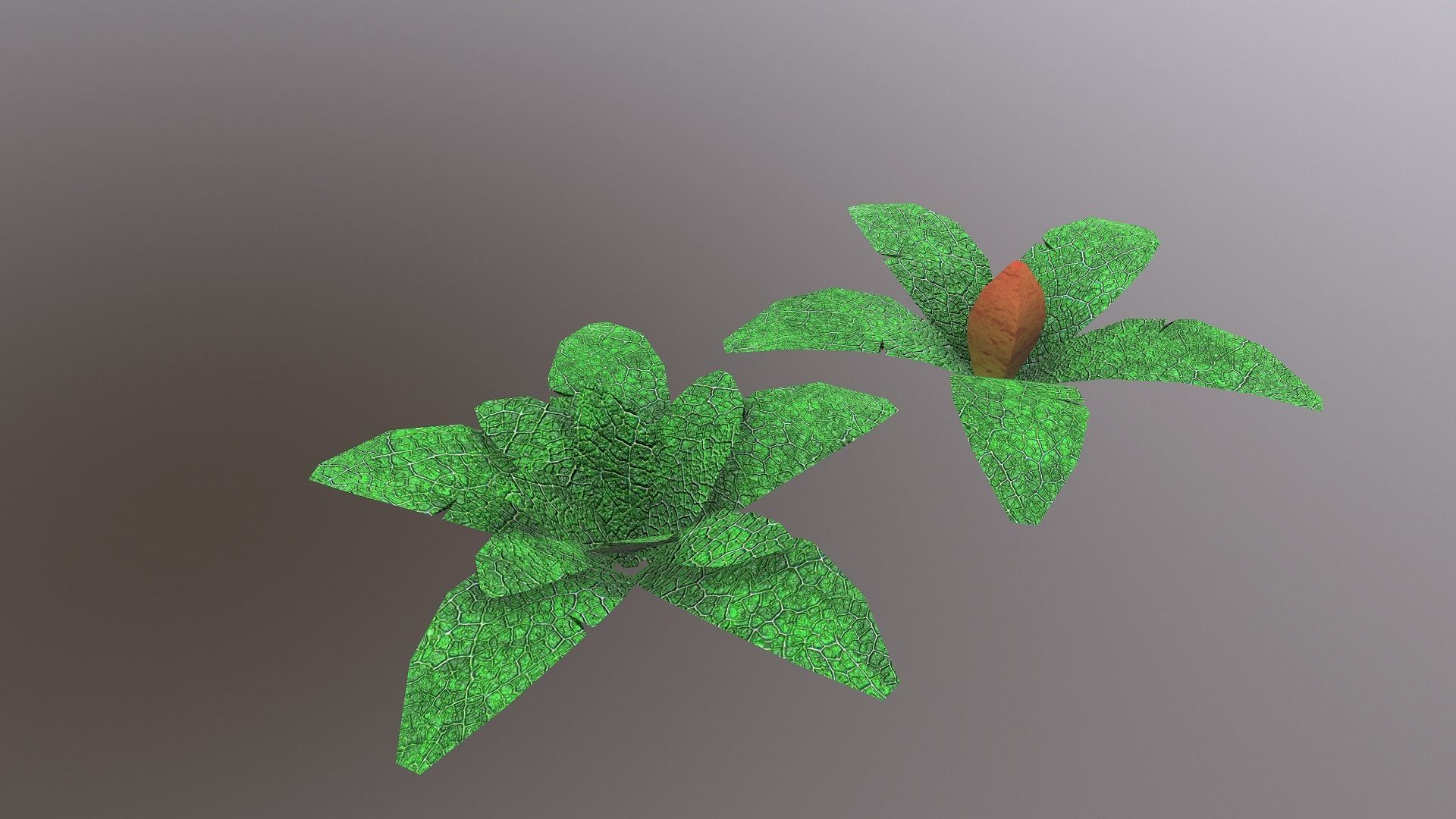  Low Poly Tropical Plant Low-poly 3D model_25