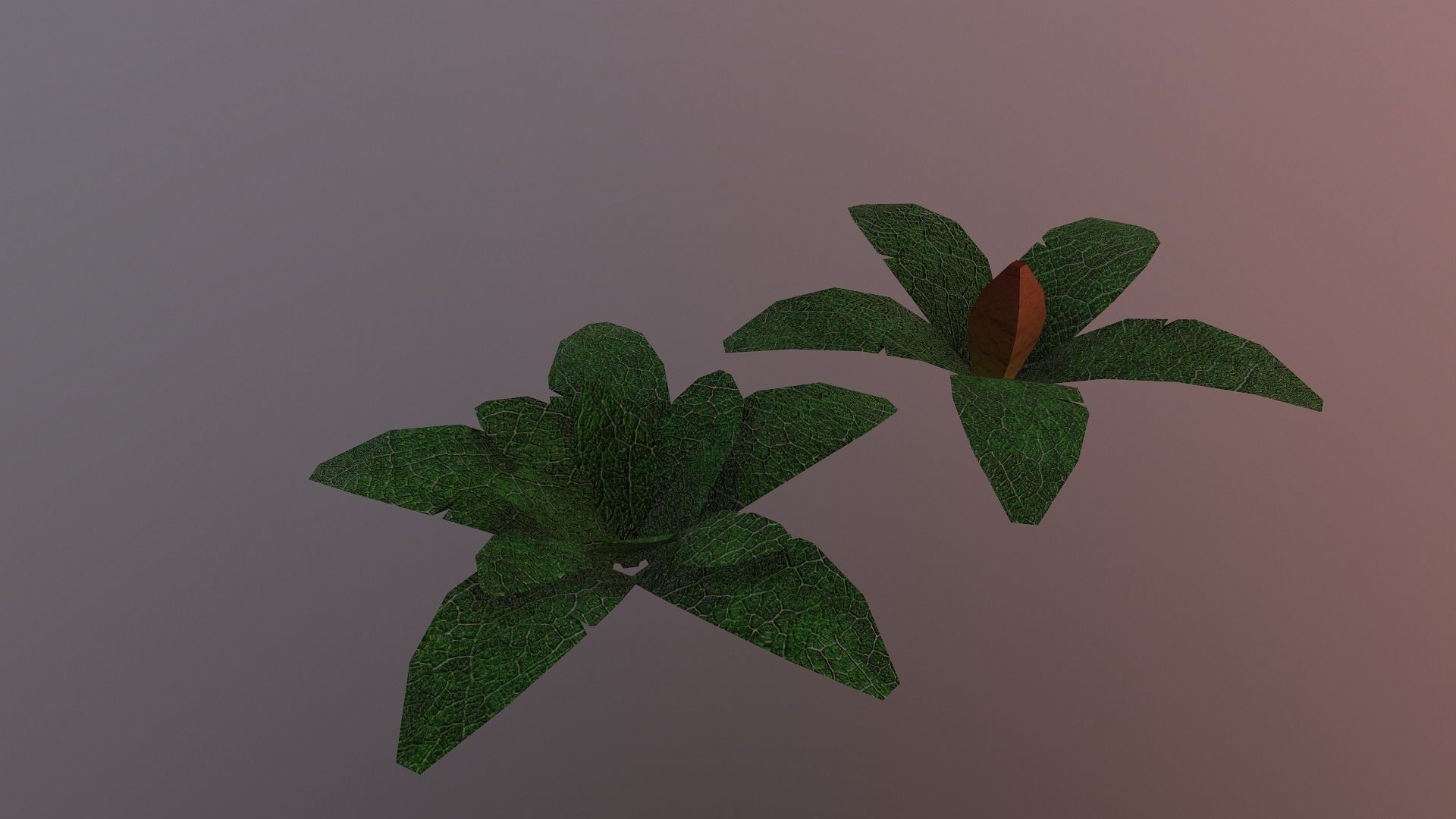  Low Poly Tropical Plant Low-poly 3D model_22