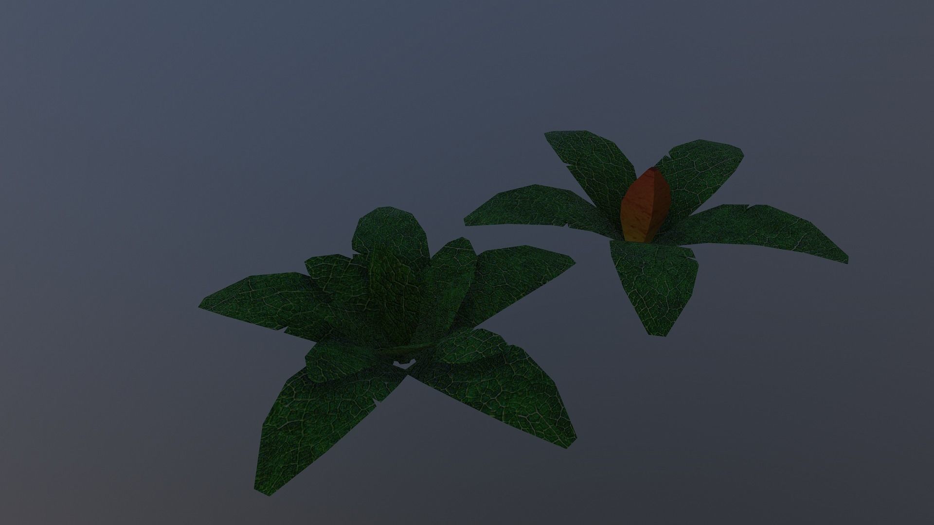  Low Poly Tropical Plant Low-poly 3D model_13