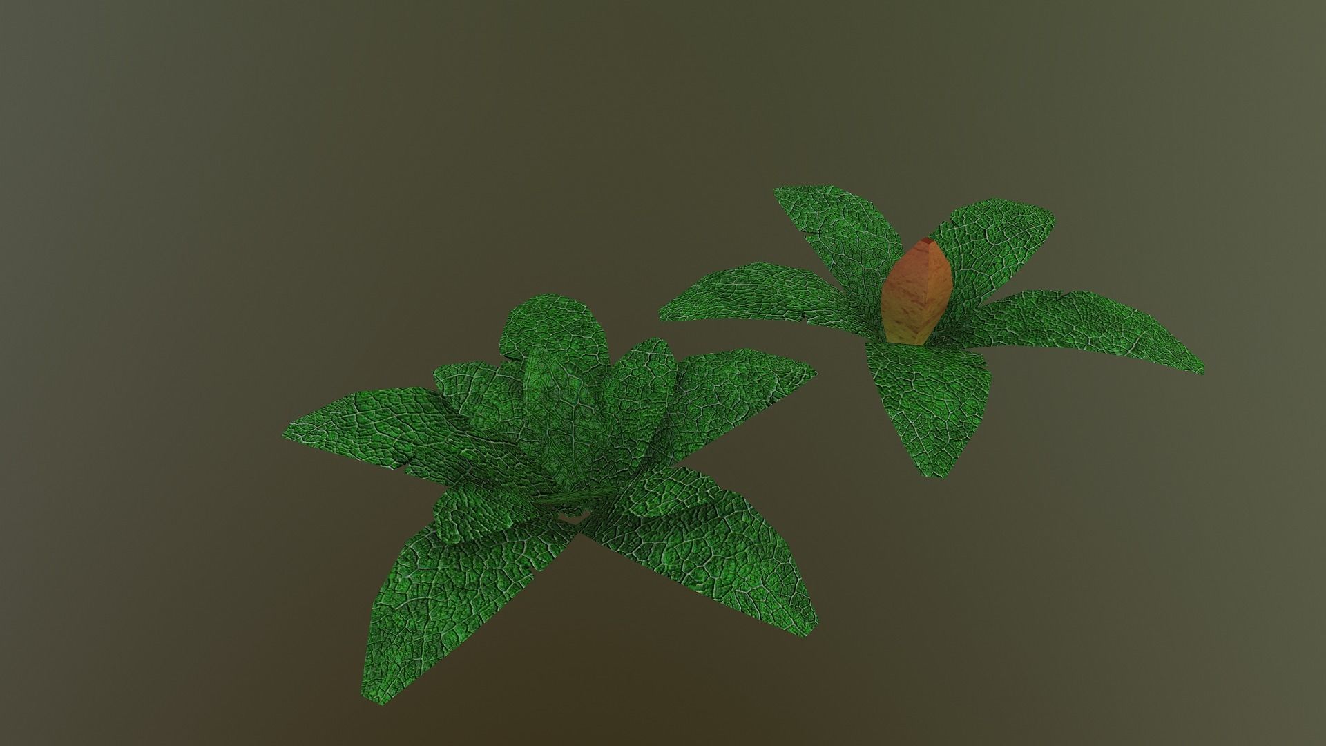  Low Poly Tropical Plant Low-poly 3D model_14
