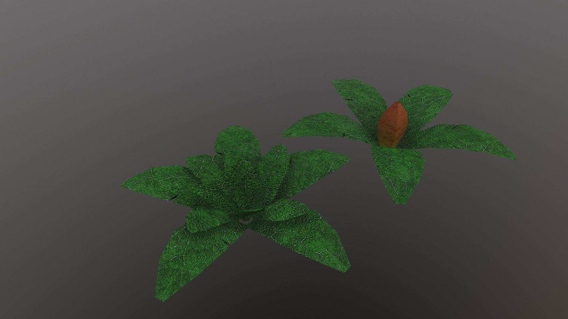  Low Poly Tropical Plant Low-poly 3D model_18