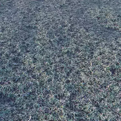 Grass  Ground PBR