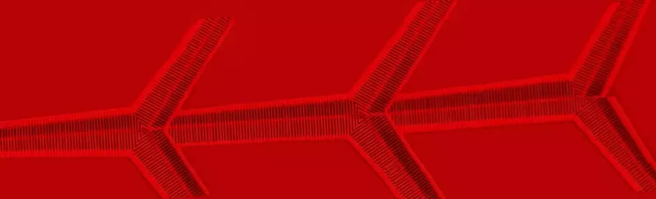 Lips Female Free 3D model_0