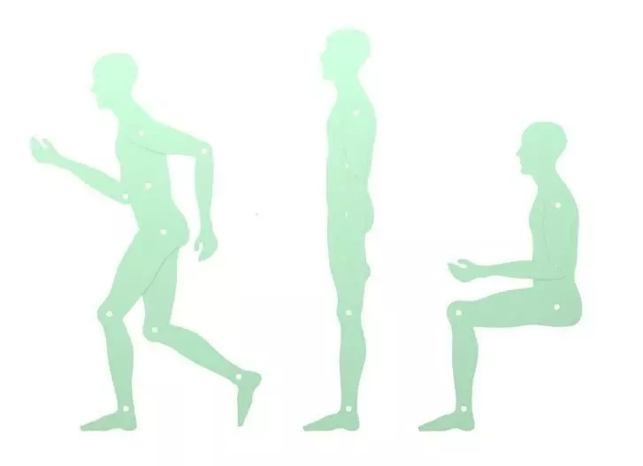 Human template 3D model