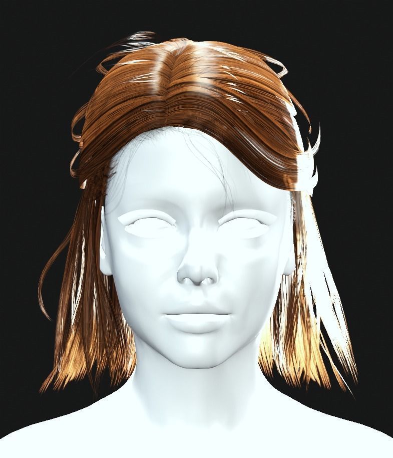 Business Hairstyles - Half up with side swept Low-poly 3D model_1