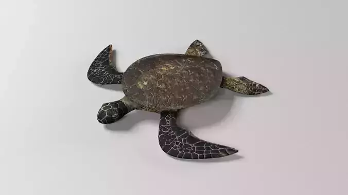 Sea turtle Low-poly 3D model