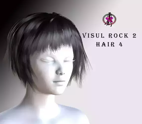Visual Rock 2 - Hair04 Low-poly 3D model